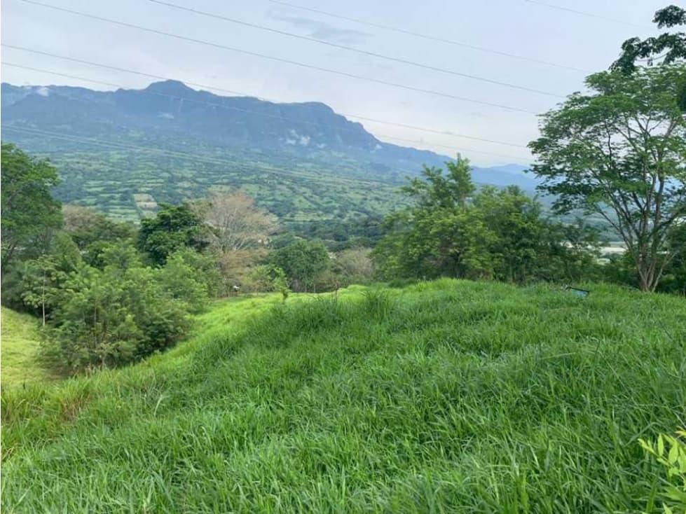 VENTA LOTE U/C LA PINTADA , SUROESTE ANTIOQUEÑO - 1