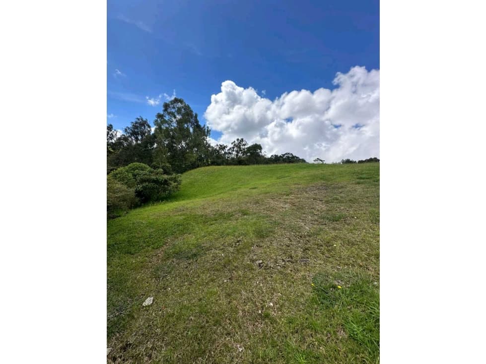 Venta lote unidad cerrada Alto de Palmas - 1