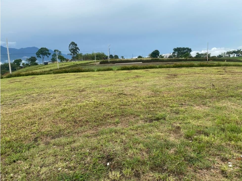 VENTA LOTES - CIRCASIA - 1