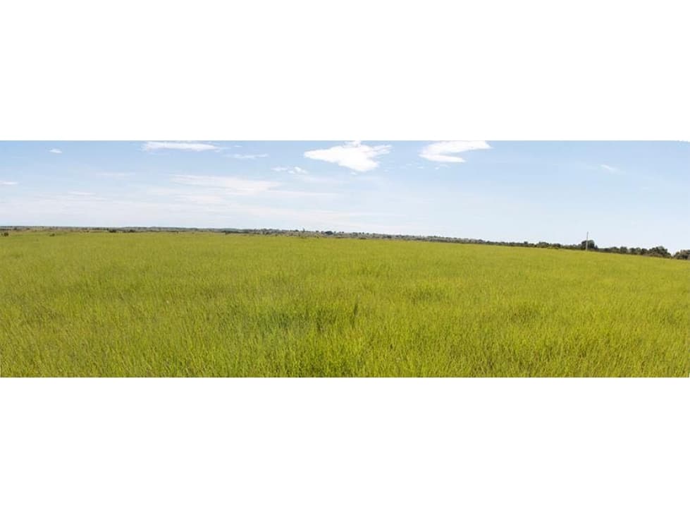 VENTA PUERTO GAITAN META FINCA 900ha. $8.100 M - 1