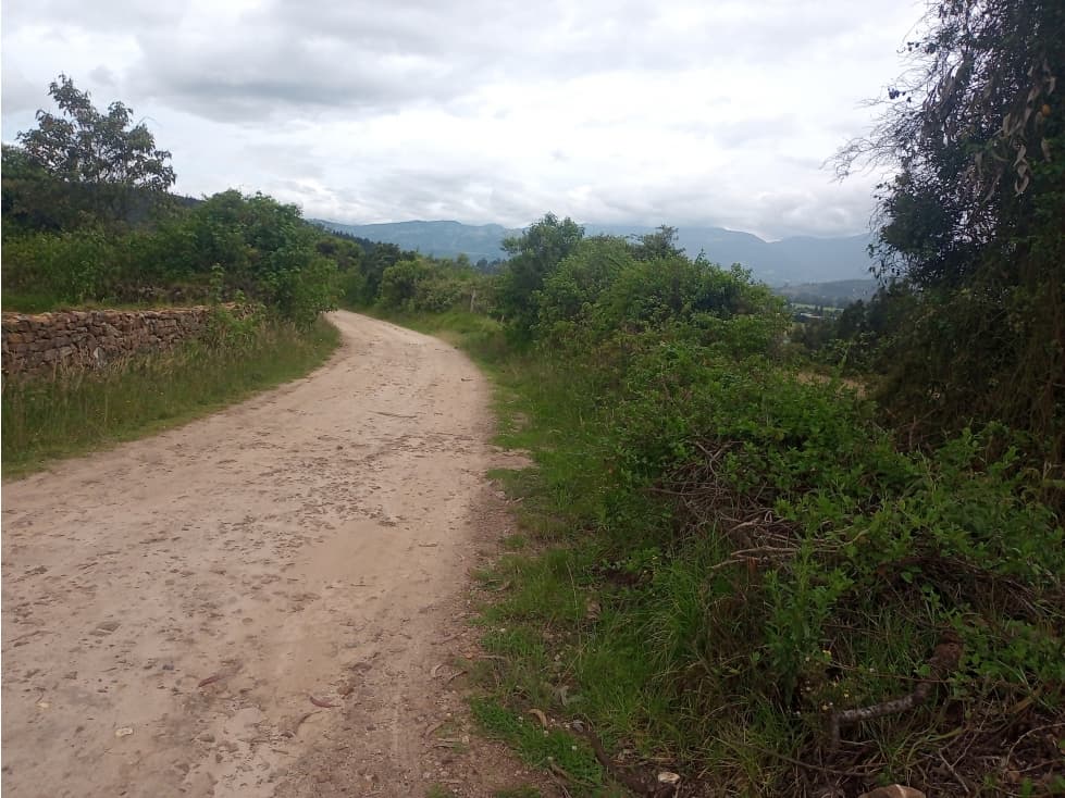 Busco finca entre 3 a 4 fanegadas en Combita - 1