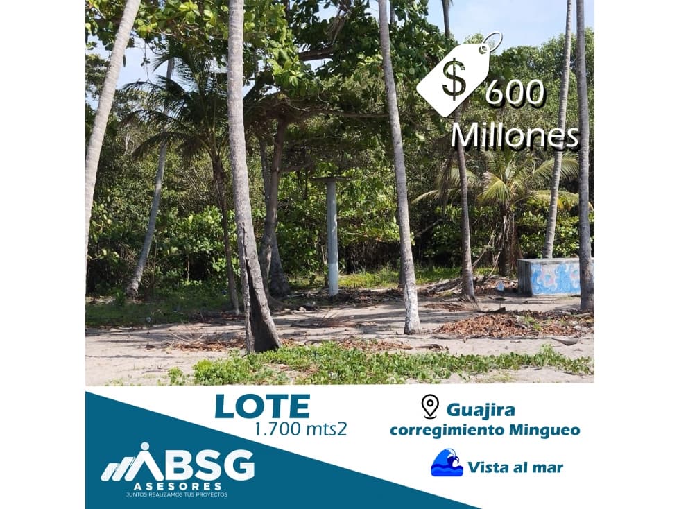 EN VENTA LOTE EN LA GUAJIRA CORREGIMIENTO MINGUEO - 1