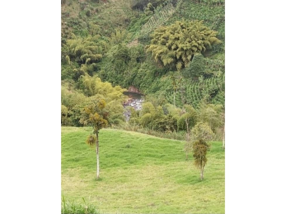 SE VENDE LOTE EN ULLOA VALLE DEL CAUCA - 1