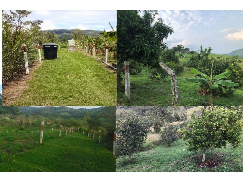 HERMOSA FINCA EN MUNICIPIO DE GUADUAS CUNDINAMARCA VEREDA DE LAJITAS. - 1