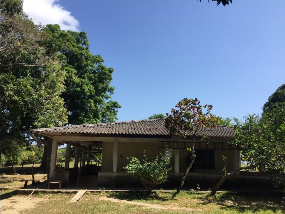 SE VENDE FINCA HATO COROZAL CASANARE - 1