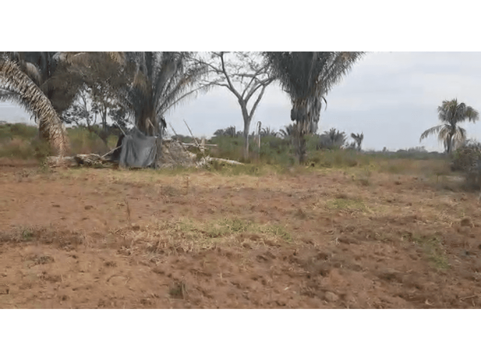 SE VENDE TERRENO EN PAZ DE ARIPORO CASANARE - 1