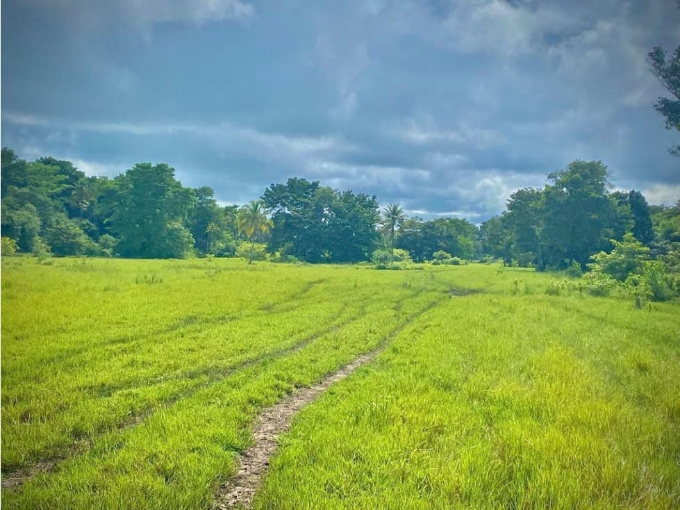 6,200 acre farm for sale near coast in Necocli, Antioquia - 1