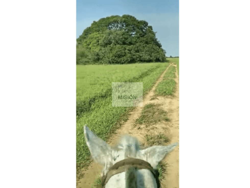 10.000 acre farm for sale $3 million USD - 1