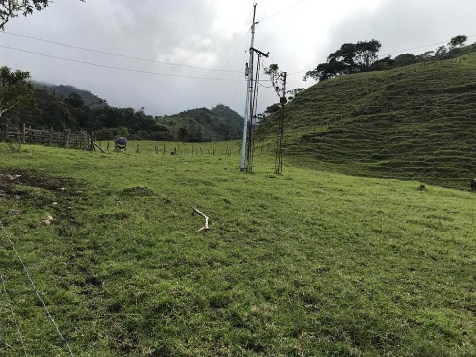 Amazing 600 acre natural paradise near Pereira for Sale - 1