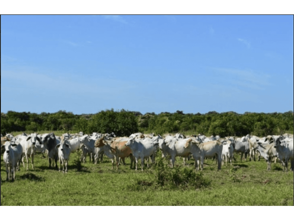 4,200 acre multiuse finca for sale - 1