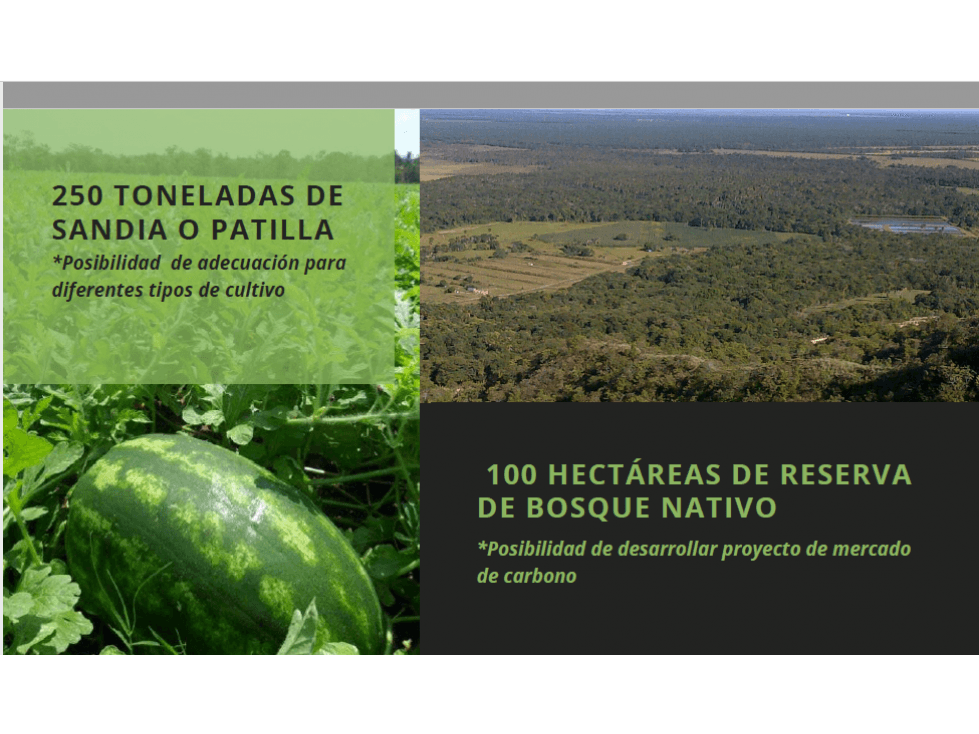 Venta gran finca piscícola en Casanare - 1