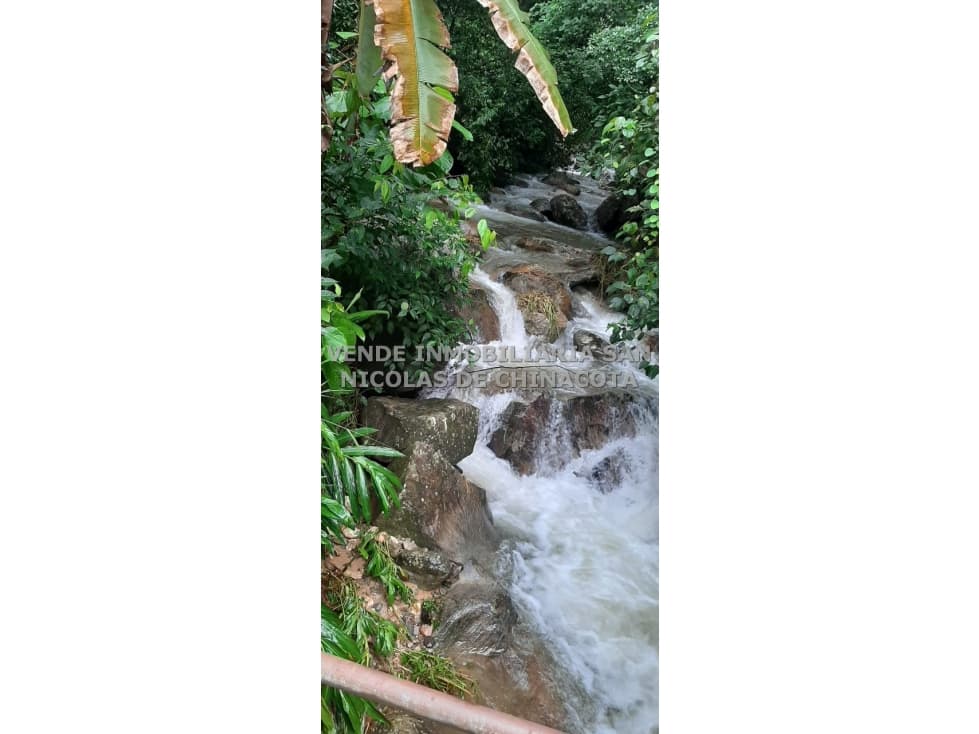 FINCA EN DURANIA - 1