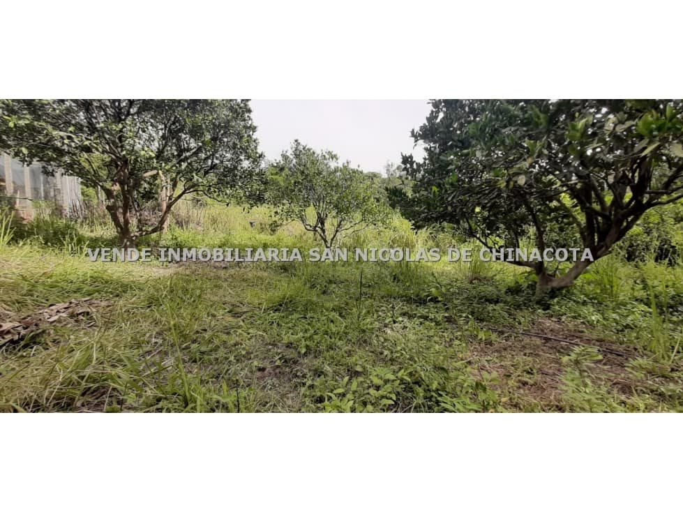 VENDO LOTE ECONOMICO EN BOCHALEMA - 1