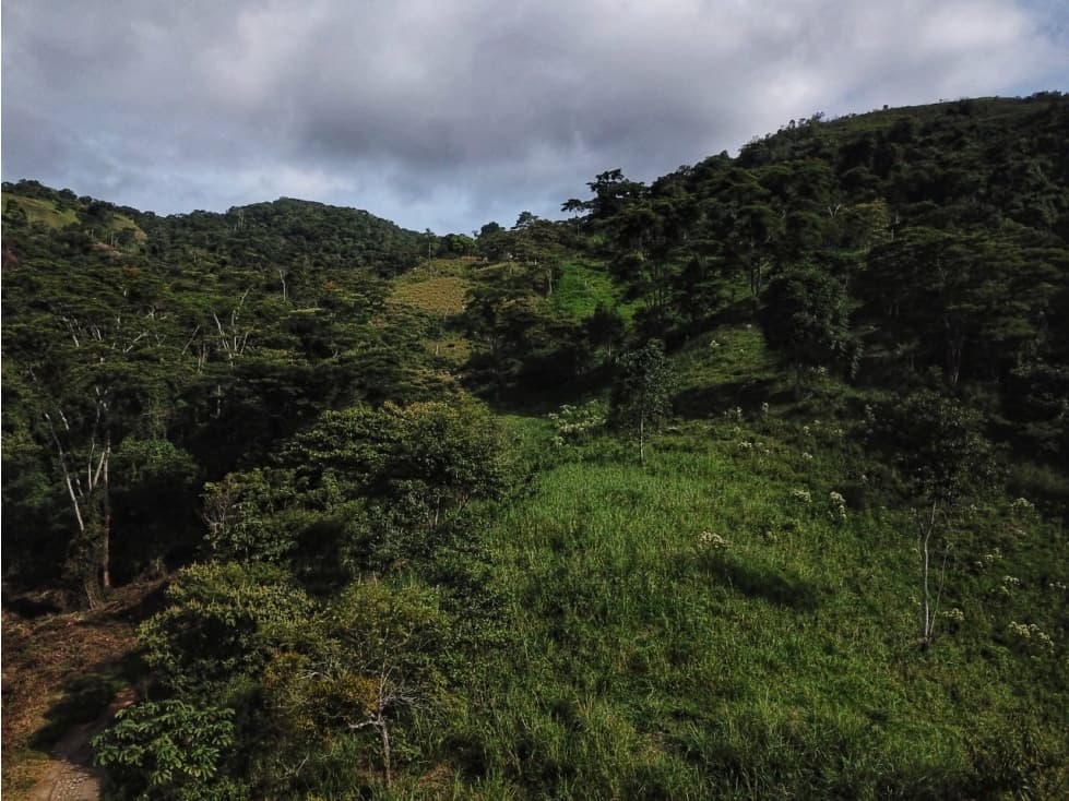 VENDO FINCA GANADERA EN BOCHALEMA - 1