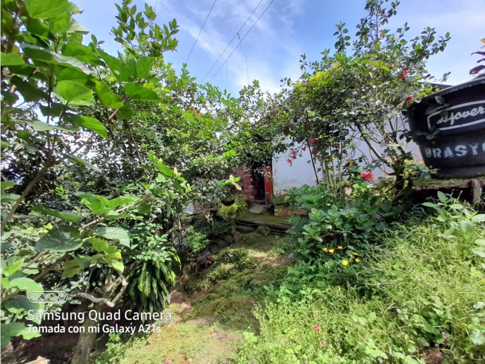 FINCA ECONOMICA EN DURANIA - 1