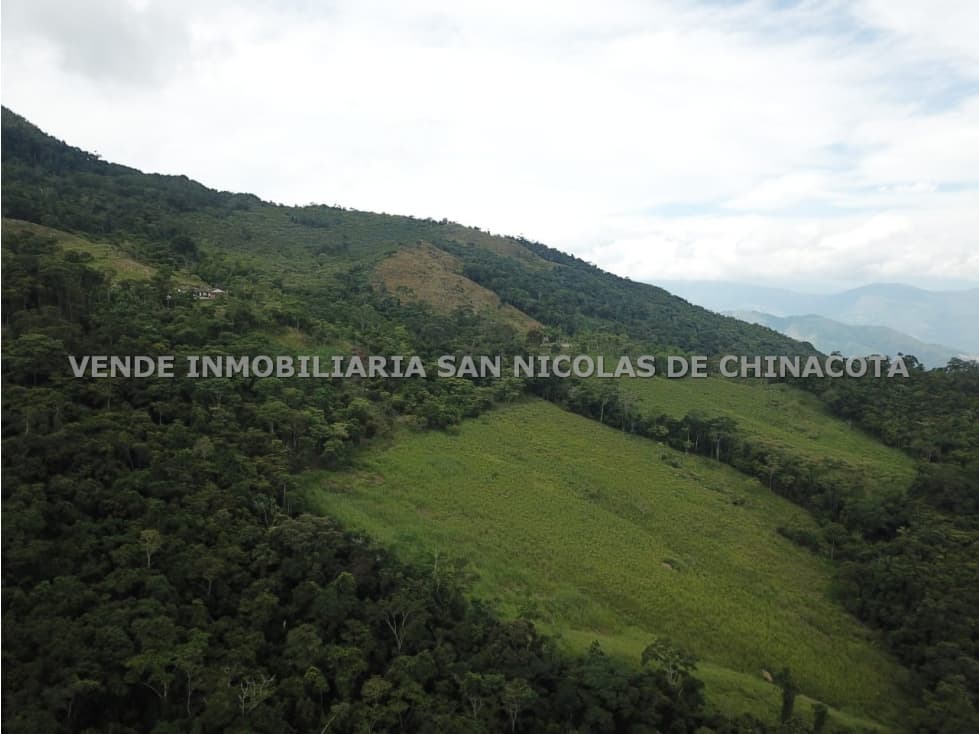 VENDO FINCA EN DURANIA - 1