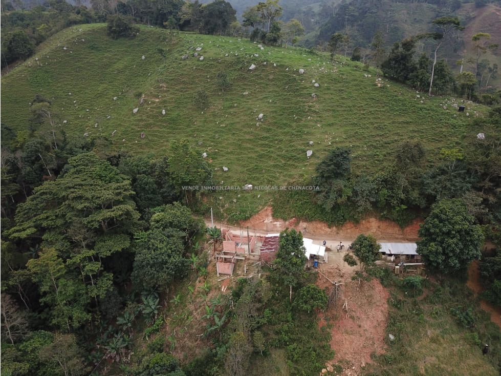 FINCA ECONOMICA EN DURANIA - 1