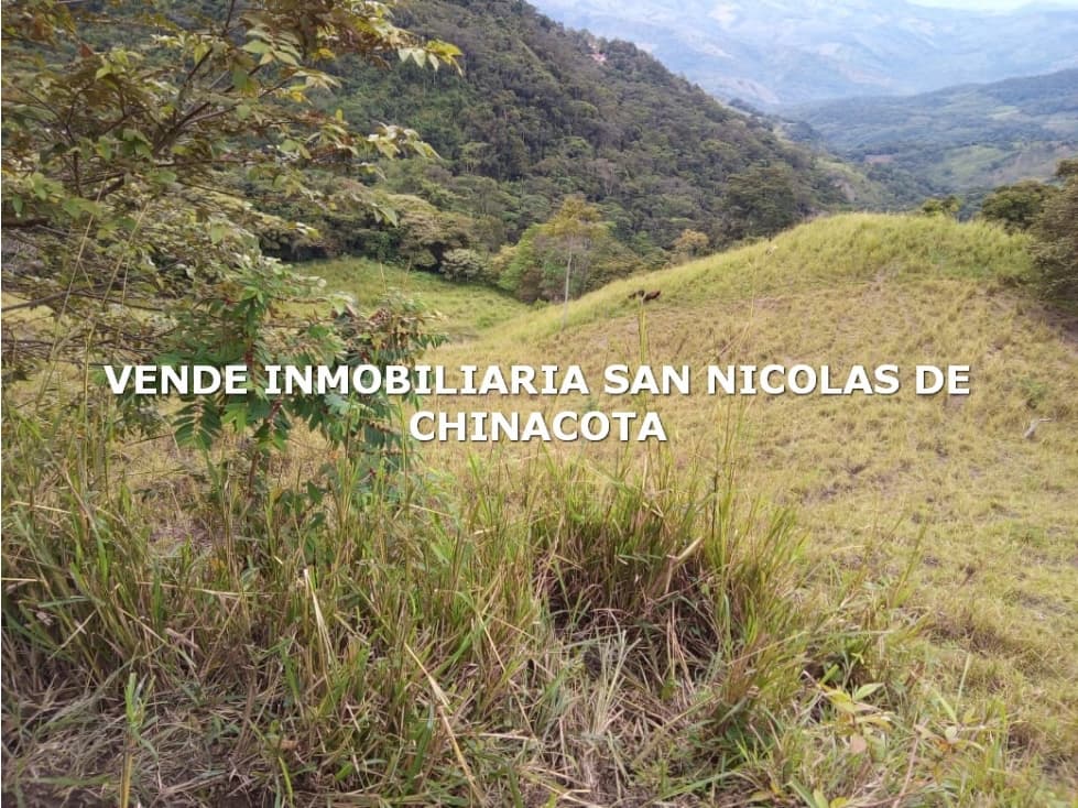 VENDO FINCA GANADERA EN DURANIA - 1