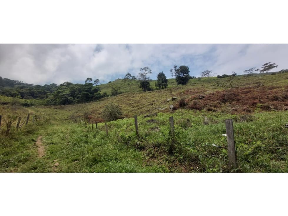 FINCA GANADERA EN DURANIA - 1