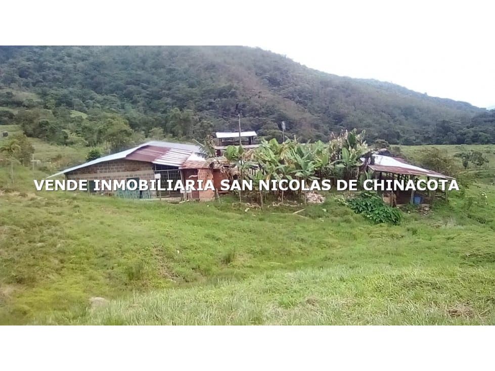 VENDO O PERMUTO FINCA GANADERA EN DURANIA - 1