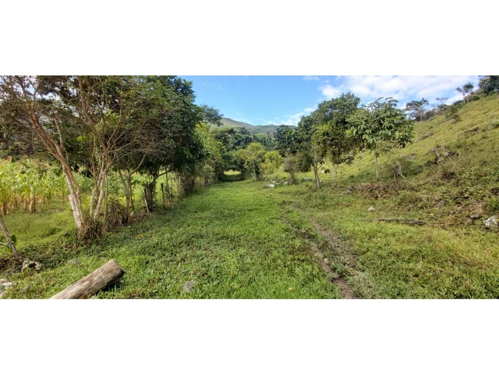 VENDO PARCELA PLANA EN BOCHALEMA - 1