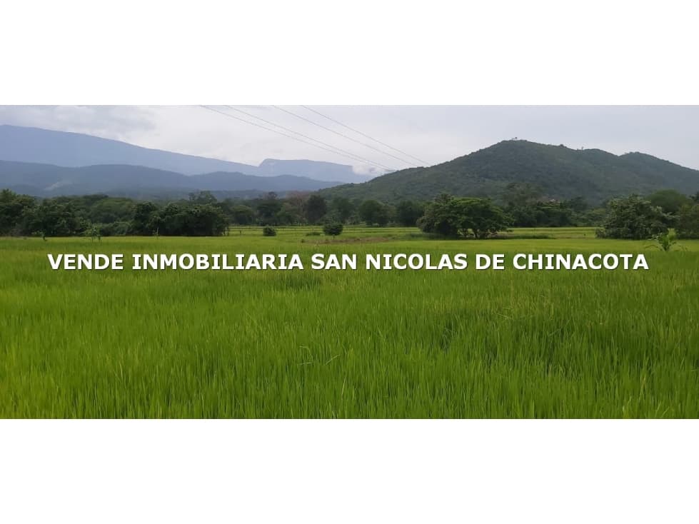 VENDO FINCA ARROCERA EN EL ZULIA - 1