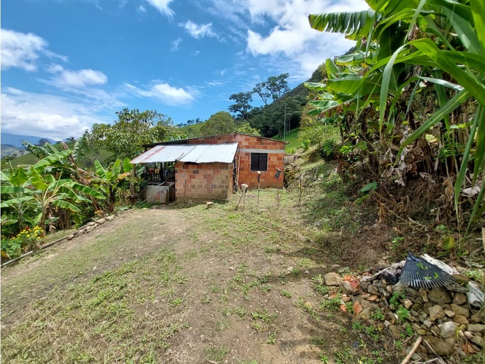 FINCA CENTRAL EN CHINACOTA - 1