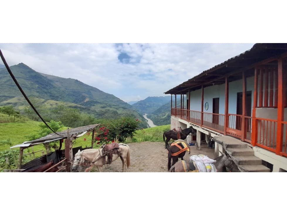 VENDO FINCA GANADERA DE 126 CUADRAS EN SAN BARTOLOMÉ PÁCORA CALDAS - 1