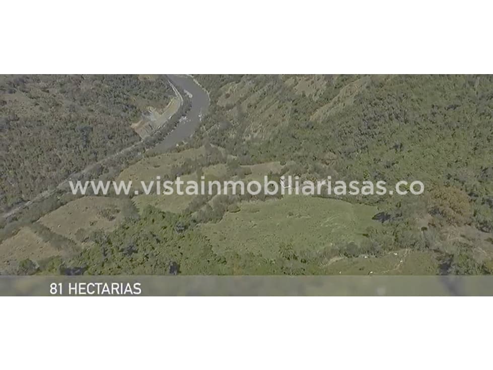 Venta Finca Sector San Bartolomé, Pacora, Caldas - 1