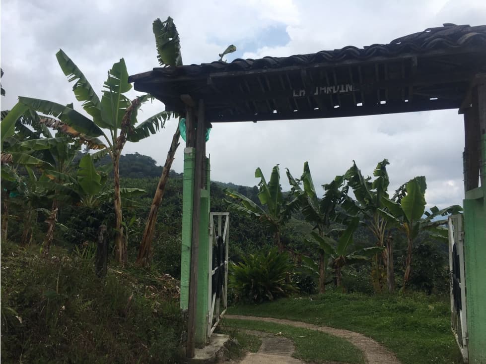 LOTE PARA VENTA EN GUATICA RISARALDA - 1