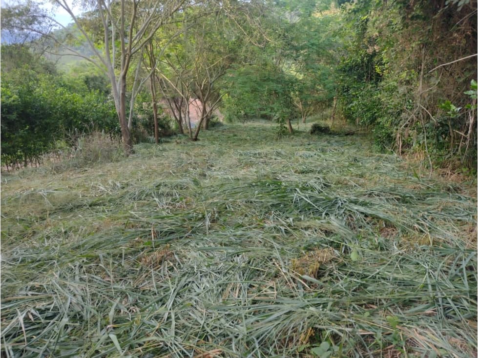 Lote en Venta - Apulo, Cundinamarca, Colombia - 1