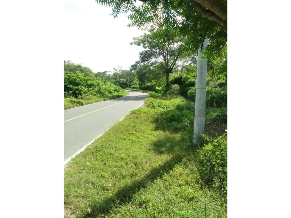 Se vende Finca en Aguada de Pablo, orilla de la carretera. - 1