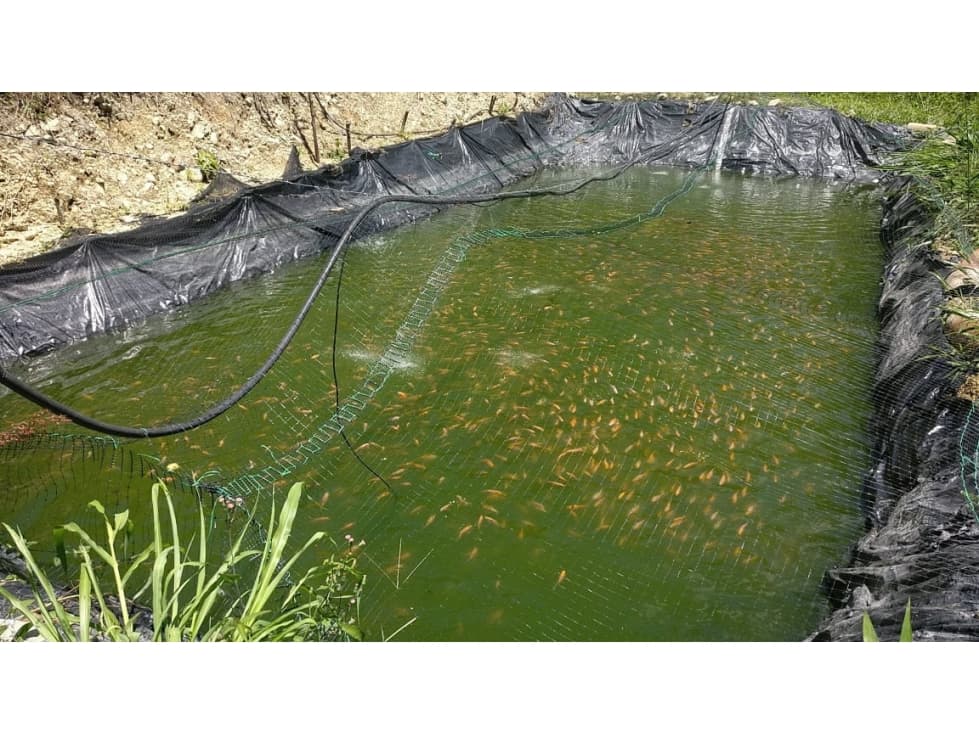 SE VENDE FINCA DE TRABAJO EN MONTEBELLO ANT. - 1