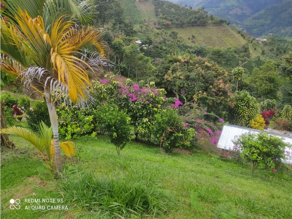 SE VENDE FINCA DE TRABAJO MONTEBELLO ANT.   - 1