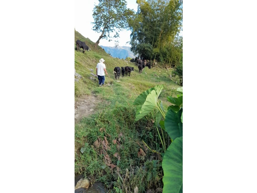 SE VENDE FINCA DE TRABAJO MONTEBELLO ANT.   - 1