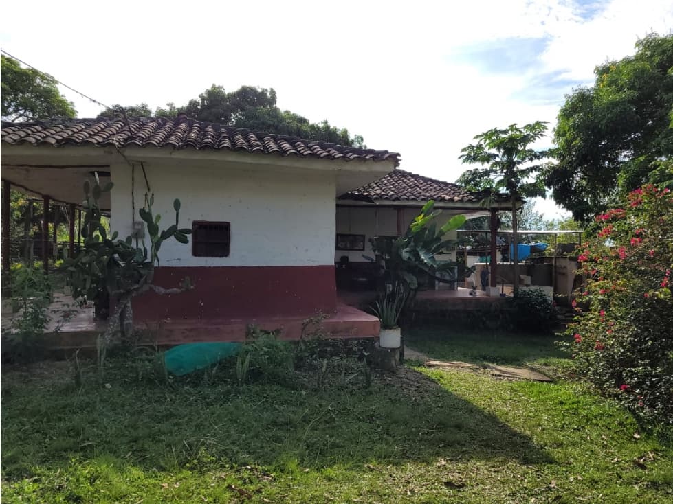 VENTA FINCA JAGUAL CORINTO - ID 523 - 1