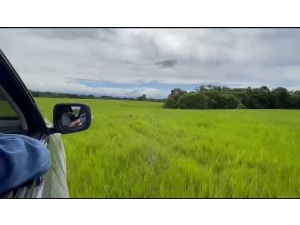 VENDO HERMOSA FINCA 629 CUADRASGANADERA POR LA DORADA - 1