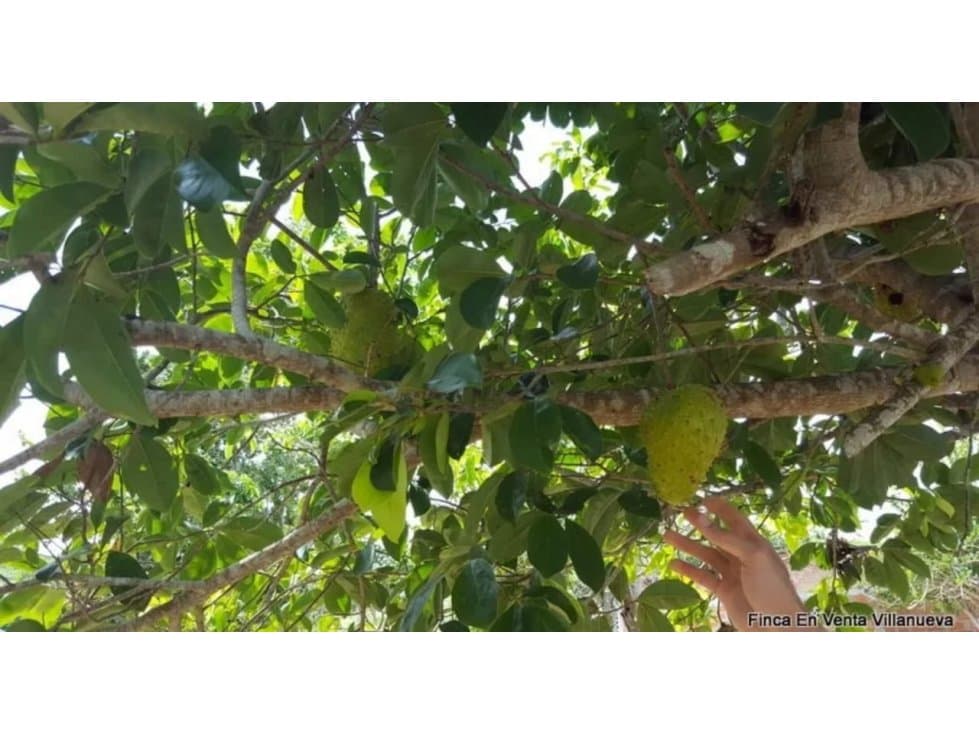 VENDO FINCA ENTRE VILLA NUEVA Y ARENAL BOLIVAR - 1