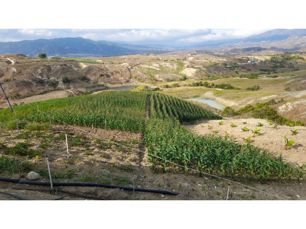 VENDO PARCELA CAPITAN LARGO - 1