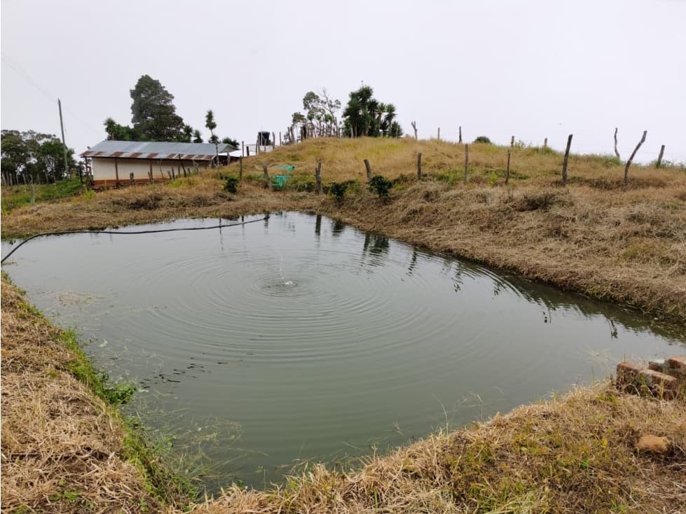 VENDO FINCA SANIN VILLA 58 HECTAREAS - 1