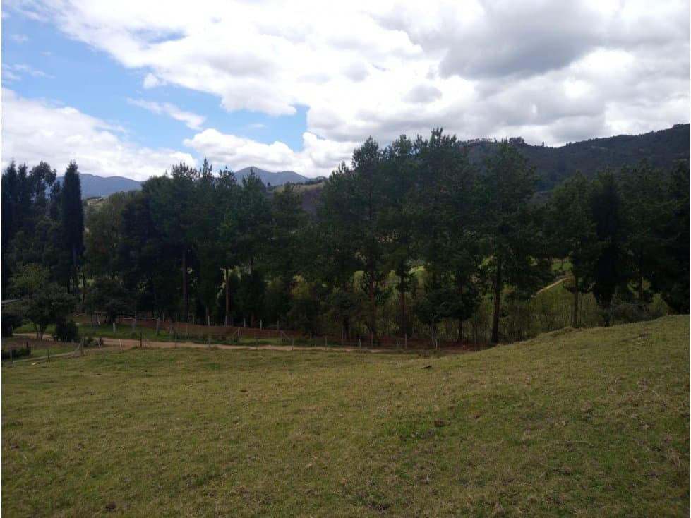 VENDO TERRENO DE   6.743 M2 EN SOTAQUIRA BOYACA - 1