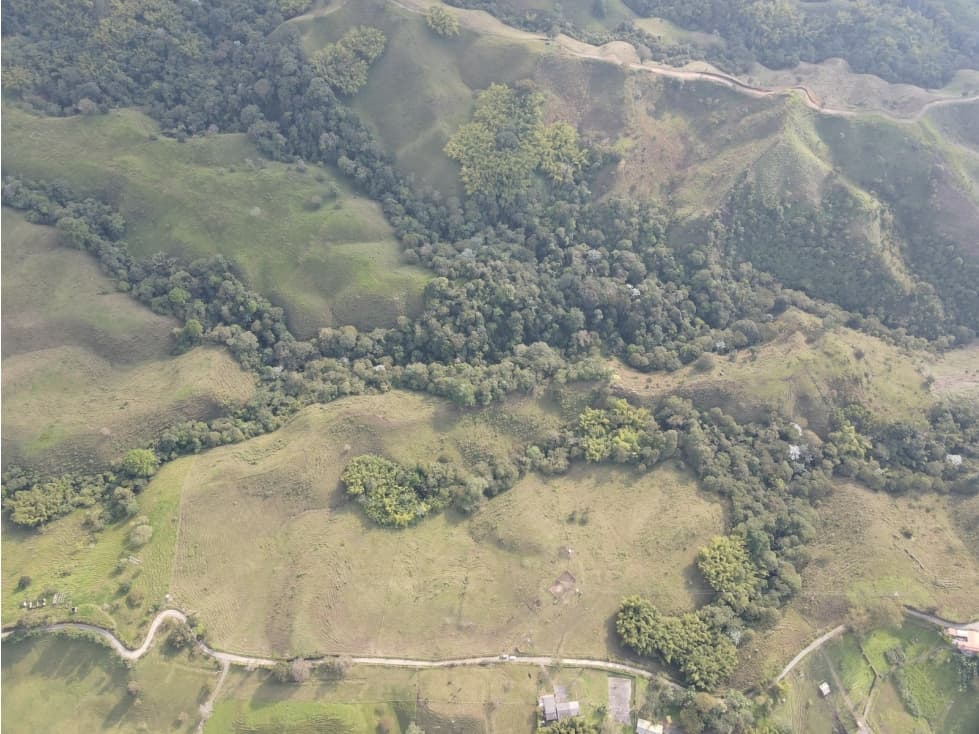SE ARRIENDA AMPLIA FINCA  AGRÍCOLA EN FILANDIA - QUINDÍO - 1