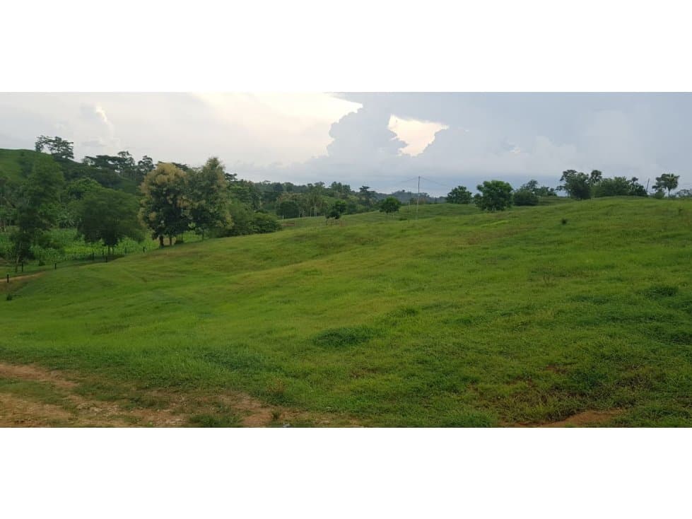 FINCA GANADERA / AGROPECUARIA 77 HECTAREAS - 1