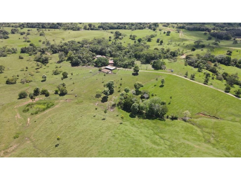 FINCA EN VENTA EN SAHAGUN- CORDOBA - 1