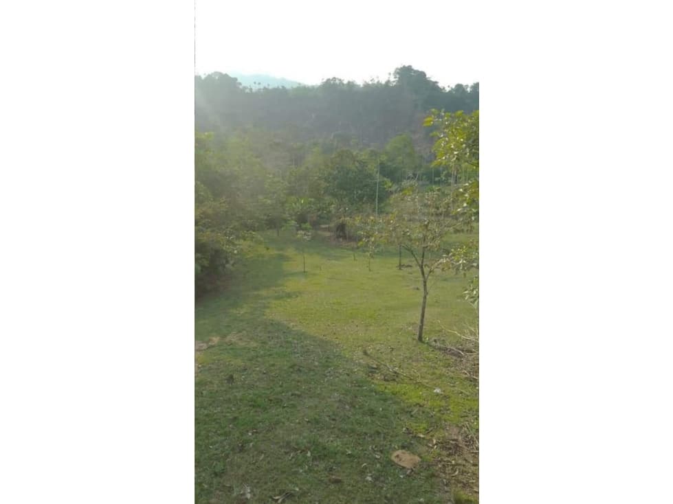 250 HT TIERRA HONDULADA EN VENTA TIERRALTA - 1