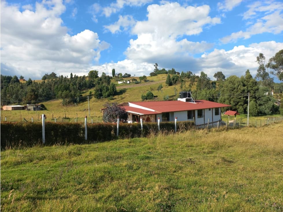 VENTA DE CASA CAMPESTRE VEREDA SAN ISIDRO - 1