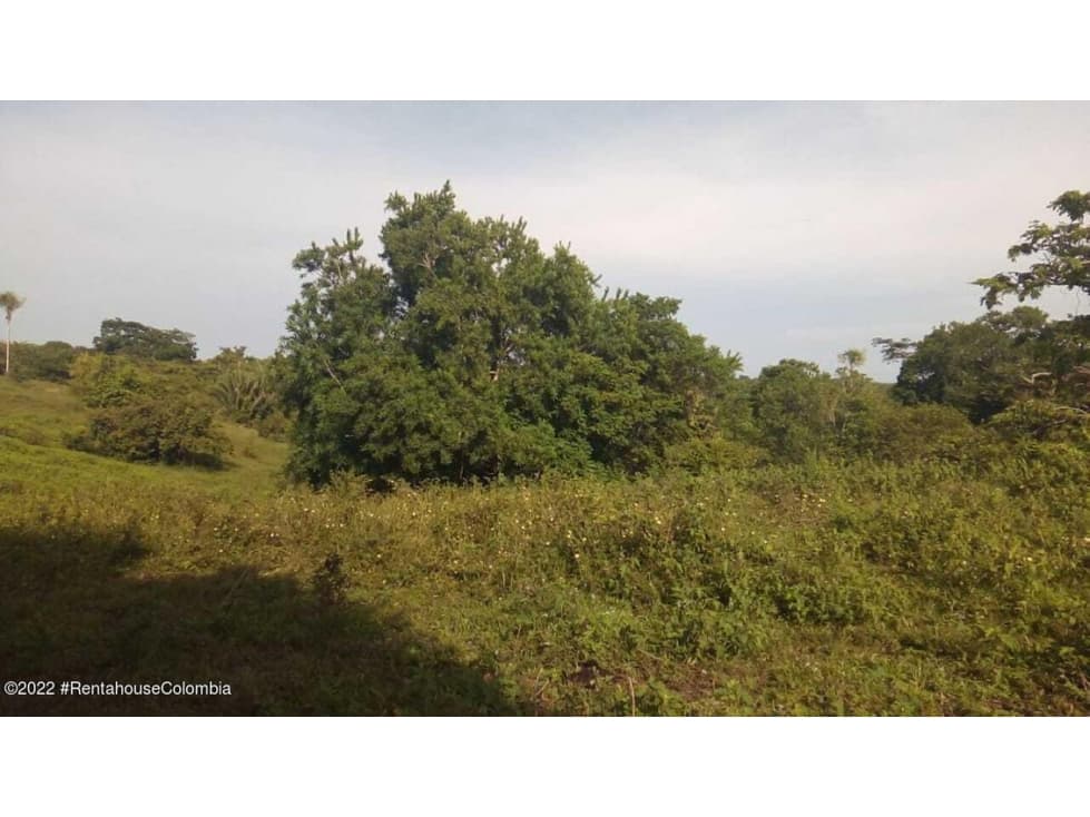 Lote en  La Sanguijuela(Sahagun) RAH CO: 22-2549 - 1