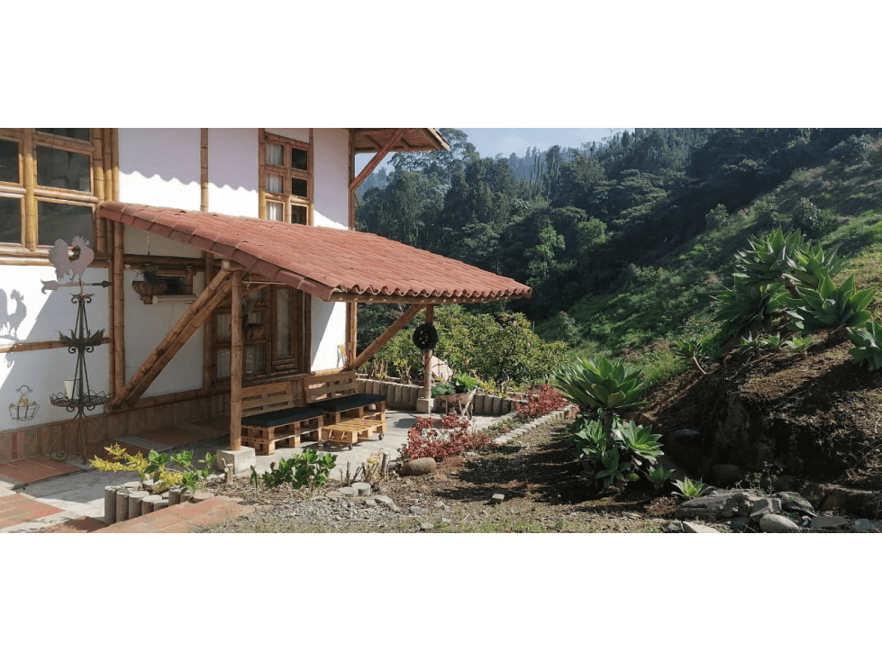 FINCA CERTIFICADA DE AGUACATE HASS EN PACORA CALDAS - 1