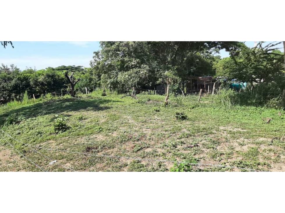Lote de 2000m2 a 200mtrs del mar palomino 011 - 1