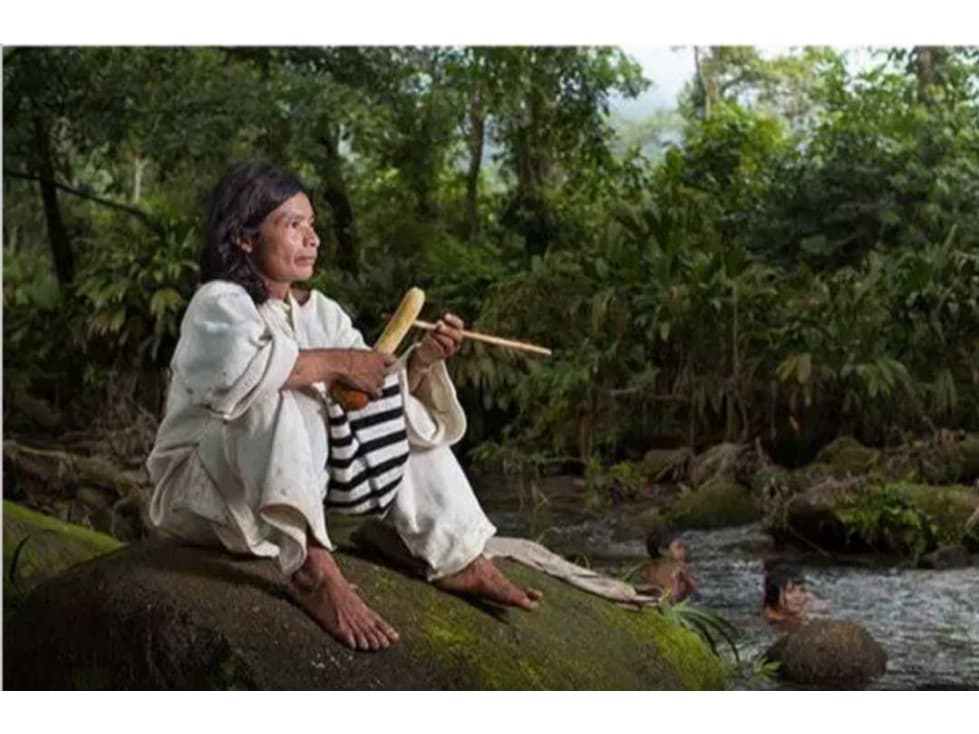 Lote en palonimo de 450m2 a 1,6km de la playa y 800mt del rio palomino - 1